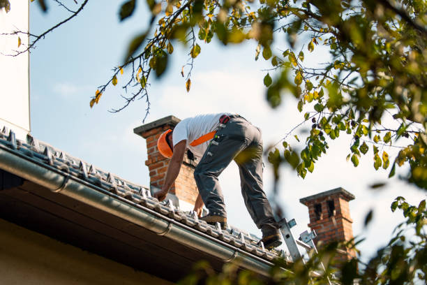 Best Flat Roof Repair Services  in Oswego, KS