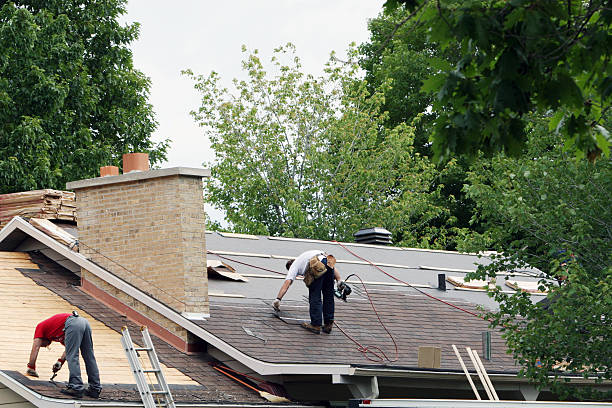 Best Metal Roofing Contractor  in Oswego, KS